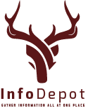 The Info Depot